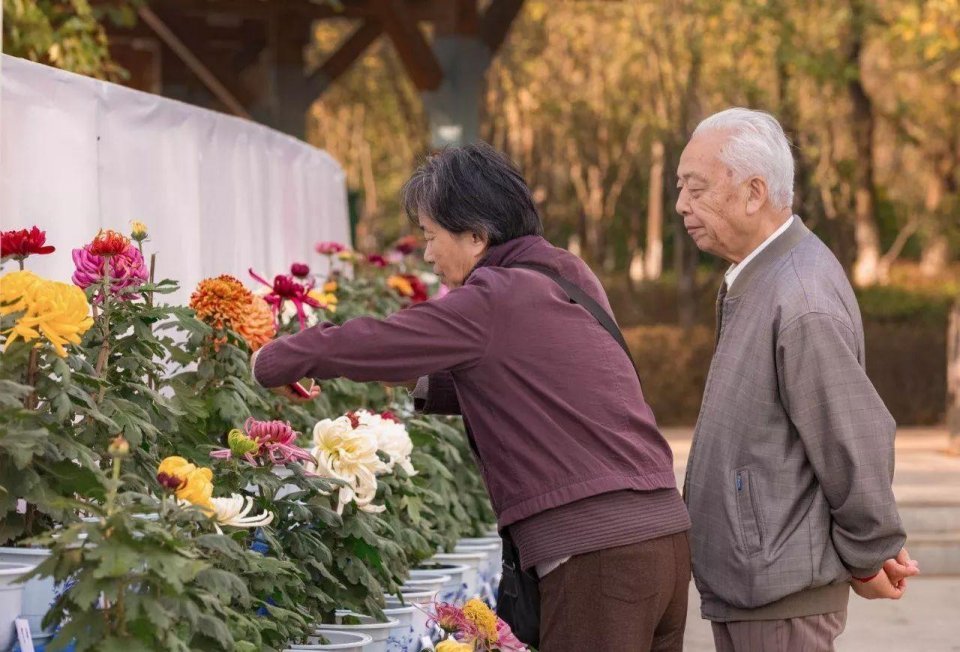 养老金“十级表”，你是什么级别？5级以上养老无压力